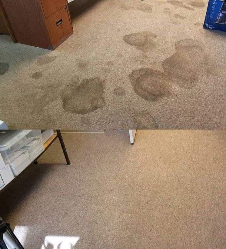 Before and after carpet cleaning showing stained carpet transformed to clean carpet