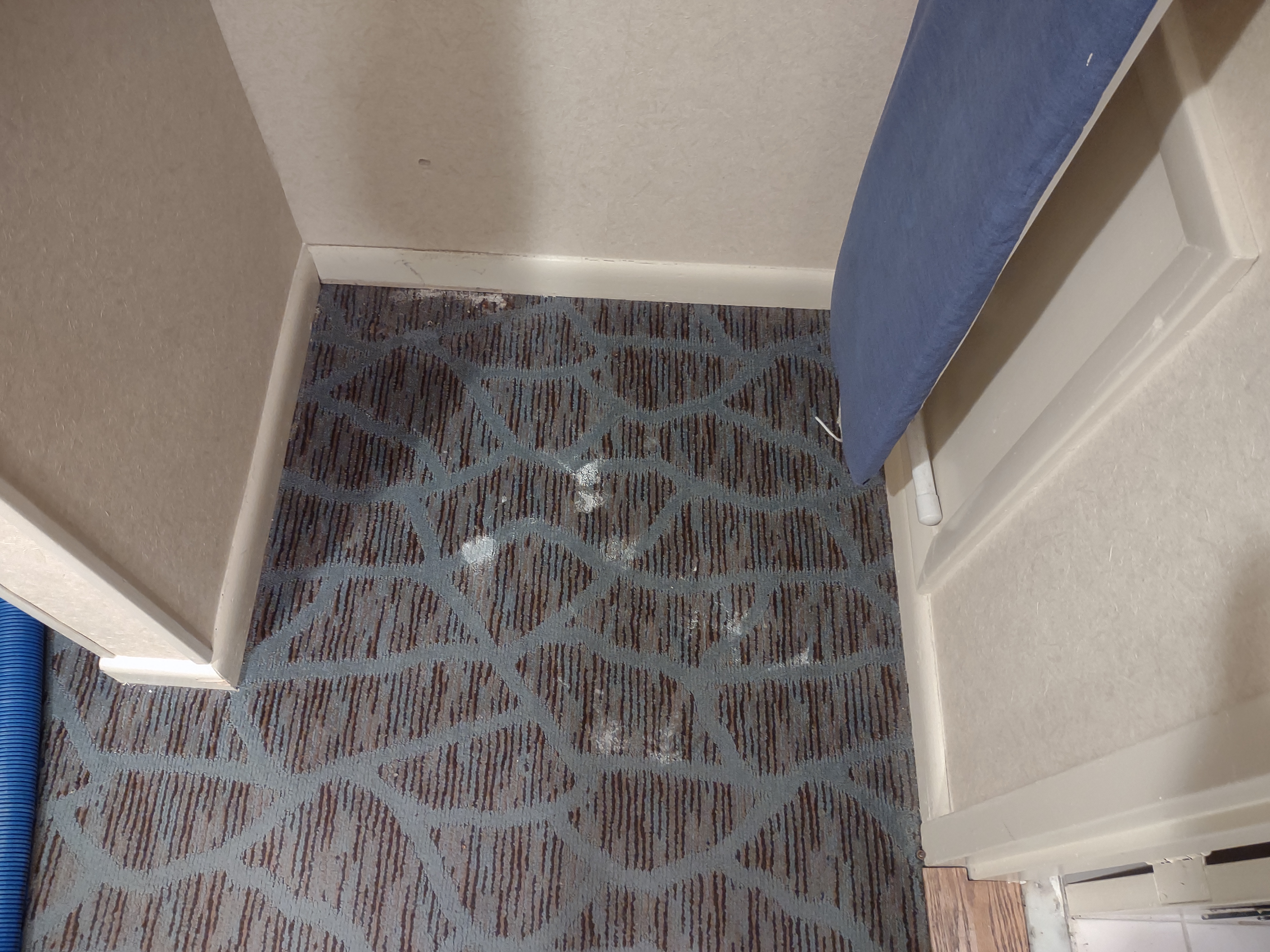 Patterned carpet in hallway with white baseboards and blue door frame