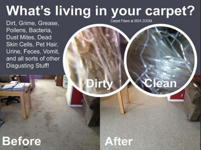 Carpet cleaning before and after comparison showing dirty fibers versus clean fibers at 200x zoom
