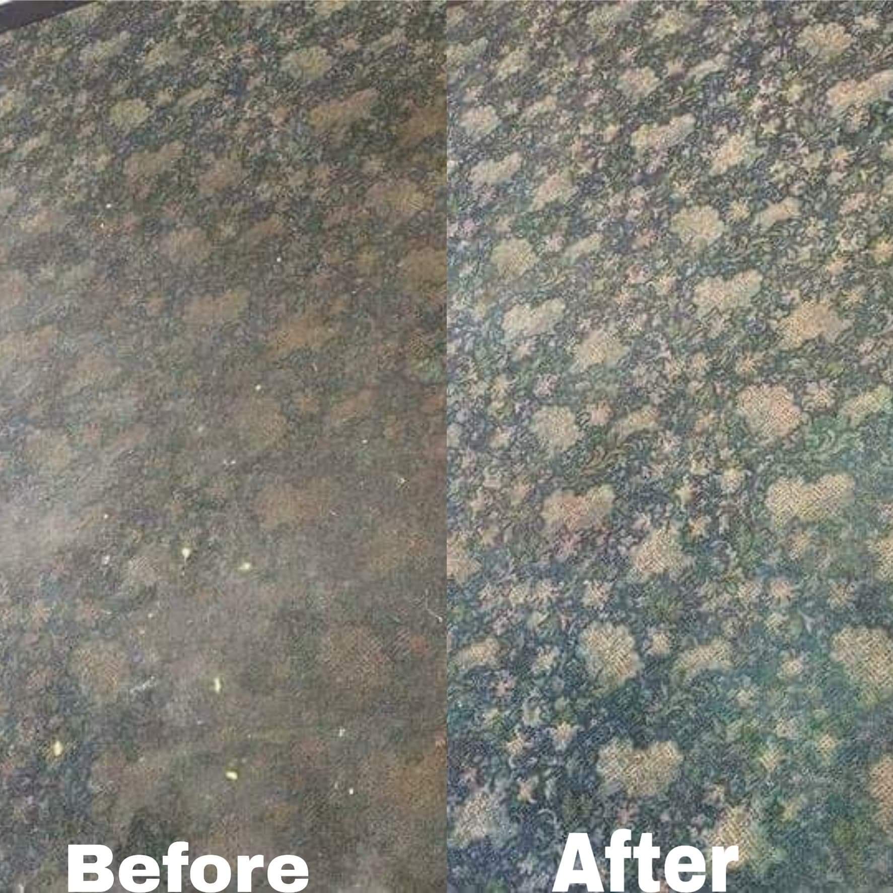 Roof surface with moss and lichen growth before and after cleaning treatment
